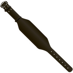 Obraz premium Belt weight lifter