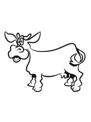 Kuh süss witzig cool