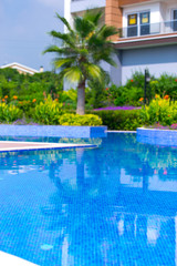 Swimming pool in the garden