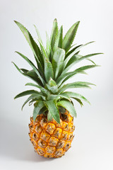 pineapple on paper background