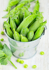 fresh pea pods in metallic bucket