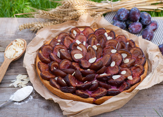 Frischer Zwetschgenkuchen