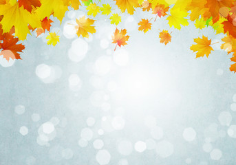Autumn leaves
