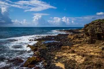 Rocky Hawaiian shore