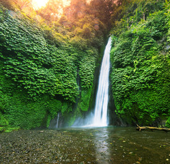 Fototapeta na wymiar Waterfall in Indonesia