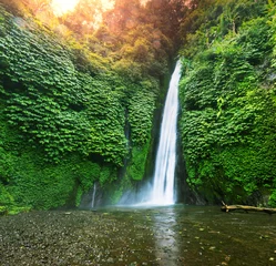 Poster Im Rahmen Wasserfall in Indonesien © Galyna Andrushko