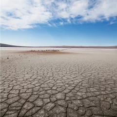 Meubelstickers desert landscape © ANP