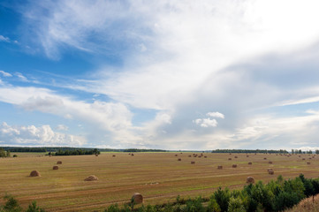 Fototapeta premium Field and clouds with hay bales
