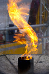 Olympic Fire