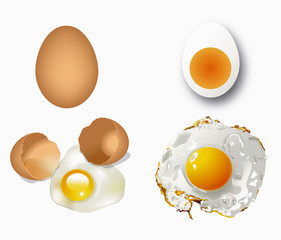 Vector of eggs