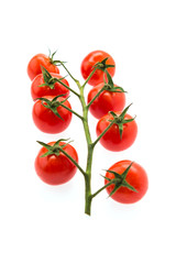 Tomato isolated on white