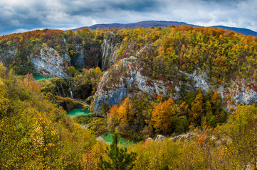 Fall landscape