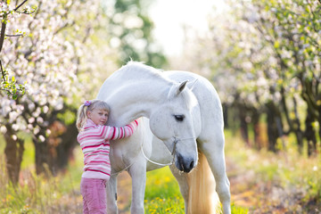 Small child with a white horse in apple orchard at sunset