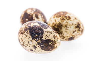 Quail eggs isolated
