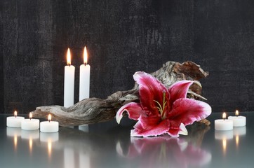 Stilleben : Kerzen, Lilie, Wurzelholz © Bernd S.