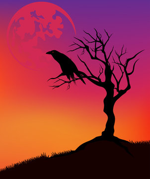 halloween background with raven