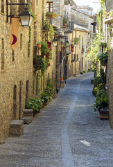 Fototapeta na wymiar Old street in the medieval village of Ainsa.Aragon.Spain