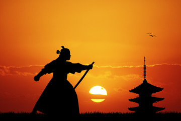 Samurai ninja at sunset