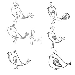 Singin birds doodle