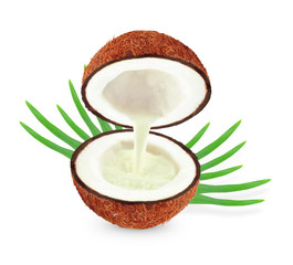 coconut milk