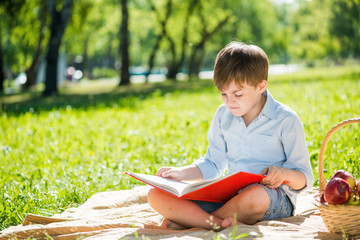 Boy in summer park