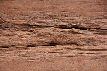 Decay wood, old wood texture.