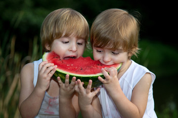 Twin Brothers Eating Watermelon Outdoors in Summer Park
