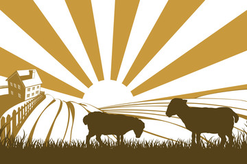 Obraz premium Silhouette sheep or lambs on farm