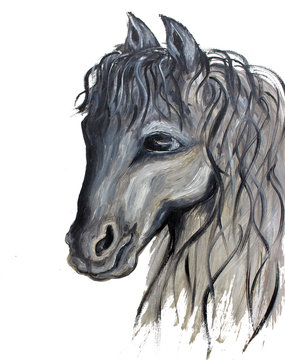 Painted Horse Portrait