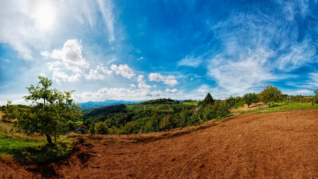 Le colline di Ovada - Panorama