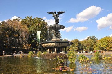 Fontana in Central Park