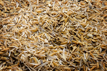 rice husk