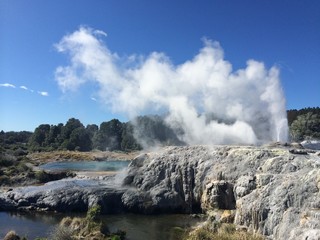 a natural geyser in te puia new zealand