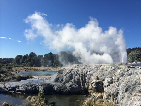 a natural geyser in te puia new zealand