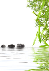 bambou aquatique zen détente relaxation