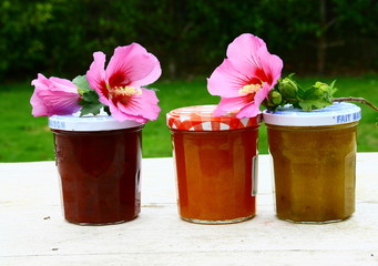 pots de confitures variées d'été,fraise,framboise,abricot,prune