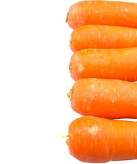 Carrot over white background