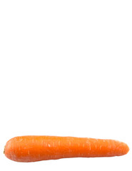 Carrot over white background
