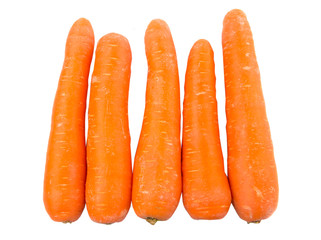 Carrot over white background
