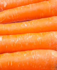 Carrot over white background