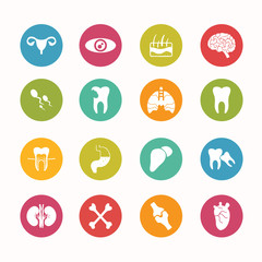 Human anatomy  icons set Circle Series - eps.10