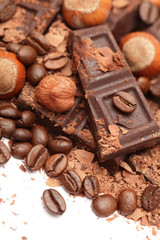 Pieces of chocolate with hazelnuts and coffee beans