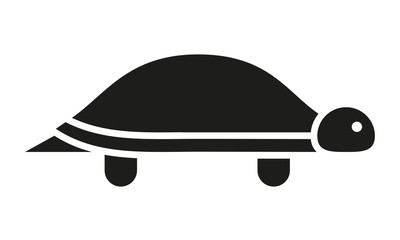 Fototapeta premium Schildkröte