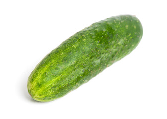 Fresh cucumber