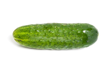 Fresh cucumber