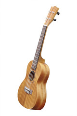 Obraz premium The image of a hawaiian guitar
