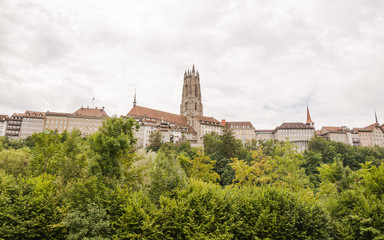 Fototapeta premium Fribourg, Freiburg, historische Altstadt, Kathedrale, Schweiz