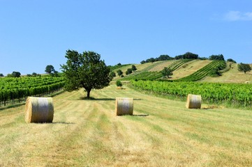 Strohballen auf dem Feld