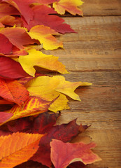Naklejka na ściany i meble autumn background