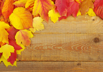 autumn background